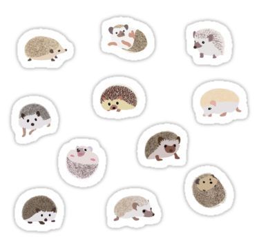 Hedgehog Sticker Pack Sticker Hedgehog Sticker, Hedgehog Accessories, Hedgehog Drawing, Stickers Kawaii, Stickers Redbubble, Unique Sticker, Stickers For Sale, Hedgehogs, Pet Gift