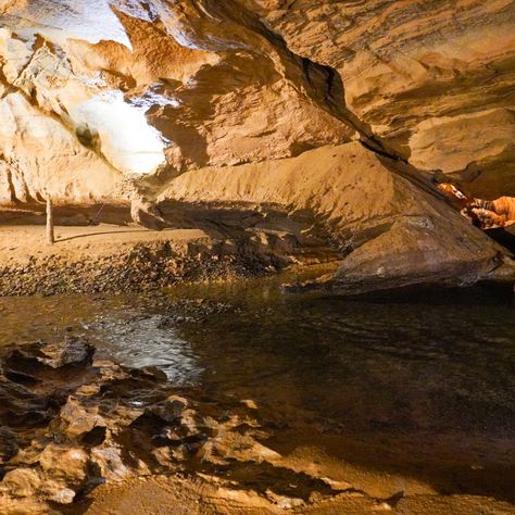 Ever wondered what's beneath the Smokies? 🏔️���👀 Delve into the depths of Tuckaleechee Caverns and stand where ancient Cherokee and early settlers once did—under the same spellbinding rock formations. 🪨✨ Have you explored a world millions of years old? Drop a '🙌' if you've marveled at the awe-inspiring Silver Falls or a '🌄' if you’re adding this to your adventure list! Embark on a journey through geological time, where every stalactite and stalagmite tells a story. 📖 With @tuckaleecheecavern... Tuckaleechee Caverns, Myrtle Beach Trip, Adventure List, Silver Falls, Early Settler, Rock Formations, Smoky Mountains, Myrtle Beach, Awe Inspiring