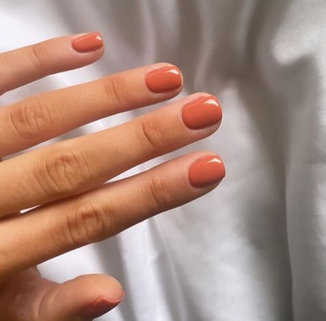 Simple Short Gel Nails Fall, Hoc Autumn Nails, Terracotta Nails Color, Fall Short Gel Nails, Terra Cotta Nails, Terracotta Nails, Orange Gel Nails, Best Gel Nail Polish, Minimal Nails