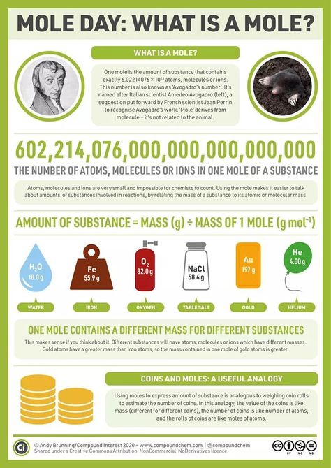 Chemistry Mole, Summarizing Activities, Mole Day, Chemistry Activities, Chemistry Posters, Chemistry Basics, Chemistry Classroom, Future Energy, Chemistry Lessons