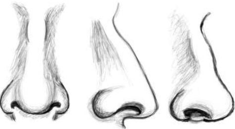 Drawing Draw Noses, Art Handouts, Nose Drawing, Homeschool Art, Art Instructions, Drawing Lessons, Irises, Pics Art, Teaching Art