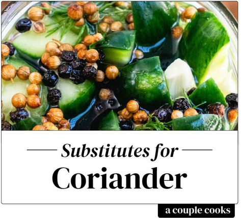 Substitute For Coriander, Cilantro Substitute, Cilantro Plant, How To Make Pickles, A Couple Cooks, Healthy Cook Books, Vegetarian Cookbook, Baking Substitutes, Couple Cooking