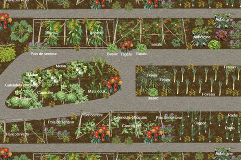 Avec le logiciel de plan Dessinerjardin.fr, vous allez concevoir votre potager idéal en toute simplicité ! #potager #permaculture #jardinier #jardin #planpotager Plan Potager Permaculture, Plan Potager, Permaculture, Coco, How To Plan, Quick Saves, Design