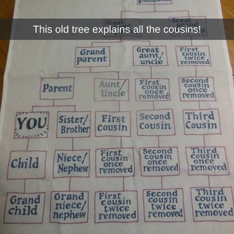 Do you know what to call your "cousins"? | TheCatSite Old Calculator, Tell Me Your Secrets, Second Cousin, Tight Hamstrings, Male Doctor, Great Aunt, 40 Women, Hiding Spots, Pen Design