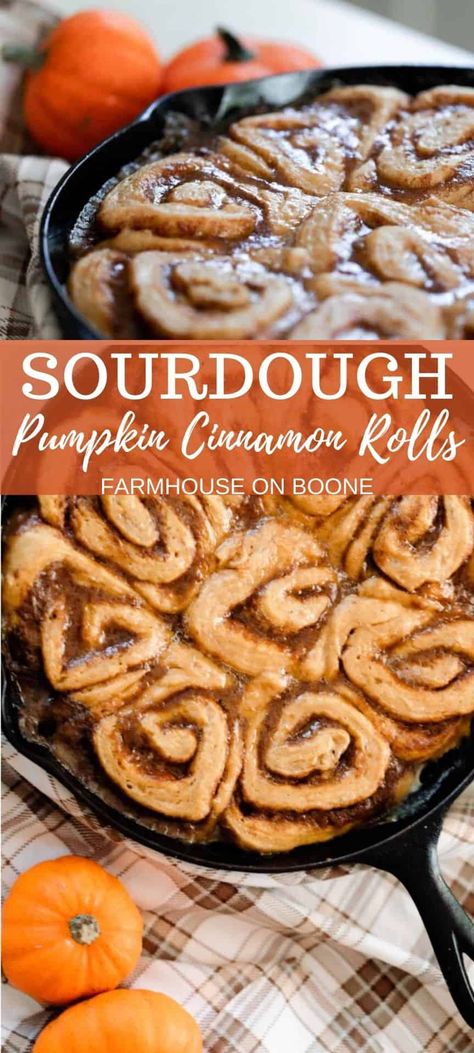 Sourdough pumpkin cinnamon rolls give a fall inspired twist to this classic recipe. Pumpkin purée is not only added to the dough, but also combined with butter, sugar, and pumpkin spice and smothered on the dough. You then roll it up, bake until your house smells delicious, and finally, top with cream cheese frosting to arrive at the most decadent spiced breakfast treat. #farmhouseonboone #sourdoughcinnamonrolls #sourdoughpumpkincinnamonrolls Sourdough Pumpkin Pull Apart Bread, Sourdough Pumpkin Cinnamon Rolls, Sourdough Pumpkin, Sourdough Rolls, Sourdough Cinnamon Rolls, Recipe Using Sourdough Starter, Sourdough Starter Discard Recipe, Discard Recipes, Recipe Pumpkin