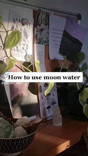 Dive into natural witchcraft and learn how to harness the energies of the earth for your magical practice. Discover the foundations and benefits of working closely with nature. Moon Water Uses Witchcraft, What Is Moon Water Used For, What To Use Moon Water For, Spells With Moon Water, How To Get Moon Water, How To Store Moon Water, Moonwater Uses, How To Make Moon Water Witchcraft, Diy Moon Water