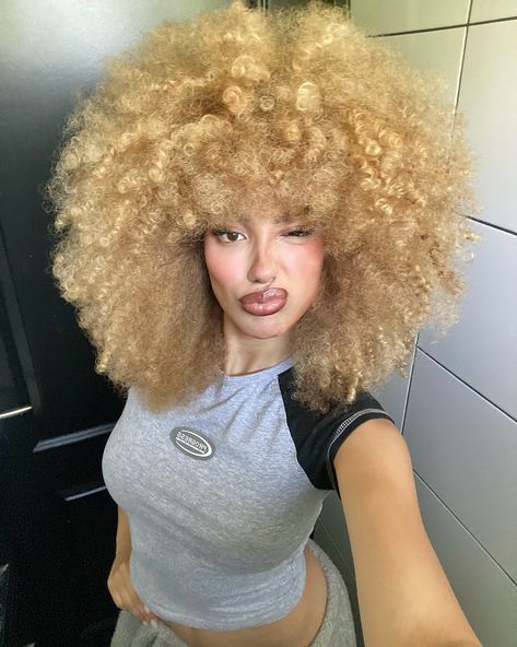 Hi 👩🏼‍🦱🪮 _ _ Blonde afro girl, blonde afro, blonde 3c curly hair, blonde fro, blonde curls, 3c curls, 4a curls Big Afro Hair, 4a Curls, 3c Curls, White Afro, Curly Hair Blonde, 3c Curly Hair, Blonde Afro, Big Afro, Blonde Curls