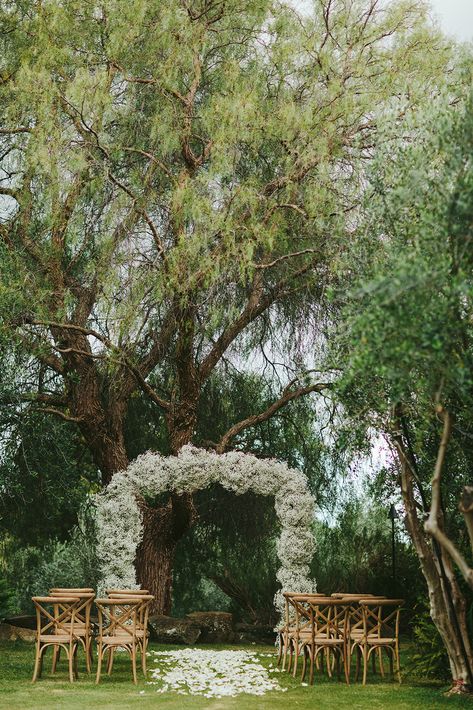 A beautiful Upcountry Maui wedding at an Olive Farm via Magnolia Rouge Tuscan Wedding Arch, Olive Farm Wedding, Maui Wedding Venues, Babies Breath Wedding Arch, Maui Wedding Ideas, Babysbreath Decor Wedding, Floral Wedding Arches, Olive Farm, Farm Inspiration