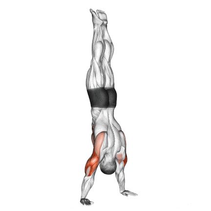 Handstand Push Up Standing Pushups, Handstand Push Ups, Decline Push Ups, Shoulder Push Ups, Build Push Up Strength, Calisthenics Push Ups, Handstand Push Up, Face Pulls, Rear Delt