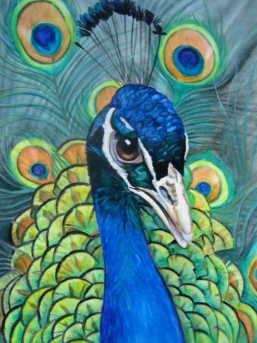 Peacock Drawing, Canvas For Beginners, Peacock Painting, Contemporary Watercolor, Peacock Art, 판타지 아트, Peacocks, Birds Painting, Canvas Art Painting