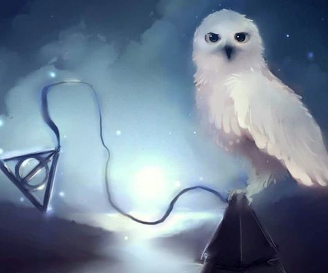 It is that Hedwig... Art Harry Potter, Harry Potter Owl, Owl Posters, Harry Potter Hedwig, 2560x1440 Wallpaper, Harry Potter Background, Owl Artwork, Harry Potter Deathly Hallows, Owl Wallpaper