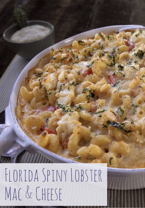 Florida Lobster Recipes, Spiny Lobster Recipe, Tomato Mac And Cheese, Baked Stuffed Lobster, Cooking Frozen Lobster Tails, Fried Lobster Tail, Florida Recipes, Fried Lobster, Frozen Lobster