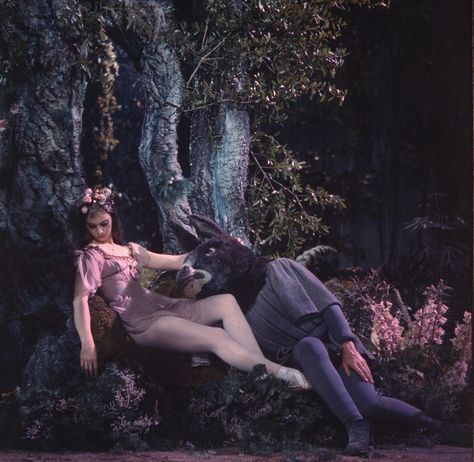 Midsummer Night's Dream Movie, Suzanne Farrell, New York City Ballet, High School Dance, Lilac Sky, A Midsummer Night's Dream, George Balanchine, Midsummer Night's Dream, Dream High