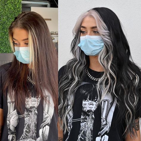 Black Hair Grey Underneath, Black And Silver Halo Hair, Grey Face Framing Highlights, Grey Money Piece Hair, Ash Black Hair Color, Hairstylist Inspiration, Alt Hair, Black To Blonde Hair, Hand Tied Extensions