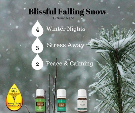 Winter Sleep Diffuser Blends, Winter Nights Diffuser Blend, Young Living Diffuser Recipes, Young Living Essential Oil Diffuser, Diffuser Blends Young Living, Eo Blends, Diffuser Oils, Fall Diffuser Blends, Black Spruce