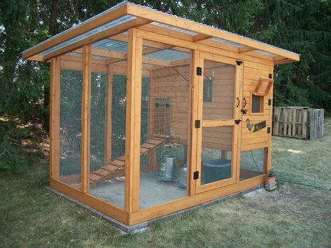 Cute Chicken Coops, Small Chicken Coops, Walk In Chicken Coop, Easy Chicken Coop, Chicken Shed, Chicken Barn, Backyard Chicken Coop Plans, Diy Chicken Coop Plans, Coop Design