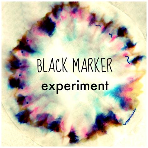 Is black a color? How does paint become a color? We were curious. So we decided to do the classic black market science experiment. Chromatography For Kids, Experiment Science, Coffee Colors, Science Club, Kid Experiments, Teaching Colors, Science Activities For Kids, Weird Science, Easy Science