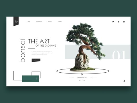 Bonsai Shop, Travel Website Design, Website Banner Design, Presentation Slides Design, Web Design Websites, 포트폴리오 레이아웃, Slides Design, Best Website Design, Header Design