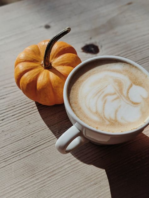 Pumpkin Spice Creamer- dairy free, refined sugar free Pumpkin Spice Creamer, Diy Pumpkin Spice, Pumpkin Spiced Latte Recipe, Homemade Pumpkin Spice, Hazelnut Coffee, Mushroom Coffee, Sweet Pumpkin, Pumpkin Spice Season, Latte Recipe