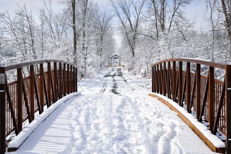 How to spend a winter weekend in Peterborough Ontario Ontario Winter, Weekend Getaways For Couples, Trestle Bridge, Peterborough Ontario, Winter Weekend, Village Inn, Food To Eat, Downhill Skiing, Visit Canada