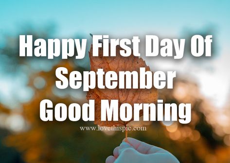 Dry Leaf First Day Of September month good morning september welcome september september images good morning september happy first day of september first day of september First Sunday Of September, Good Morning New Month, September 1st Quotes, Good Morning September, New Month September, September Welcome, September First, First Day Of September, September Pictures