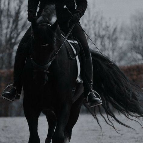 Midevil Aesthetics, Horseback Riding Aesthetic, Horse Riding Aesthetic, Medieval Aesthetic, Equestrian Aesthetic, Yennefer Of Vengerberg, Royalty Aesthetic, Royal Aesthetic, Horse Aesthetic