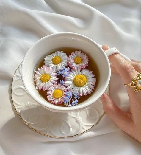 (1) Twitter Daisy Tea, Floral Drink, Tea Aesthetic, Nautical Aesthetic, Bohemian Aesthetic, Bridal Shower Tea, Chamomile Tea, Boho Aesthetic, A Cup Of Tea