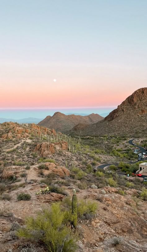 Hiking Aesthetic Desert, Utah Aesthetic, Arizona Aesthetic, Desert Aesthetic, Arizona Sunset, Pretty Landscapes, Out West, In The Desert, Nature Aesthetic