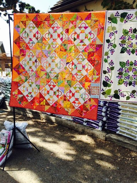 Alex Anderson basket quilt Alex Anderson Quilts, Orange Quilt, Kaffe Fassett Quilts, Basket Quilt, Kaffe Fassett, Patchwork Quilts, Quilting Projects, Quilt Blocks