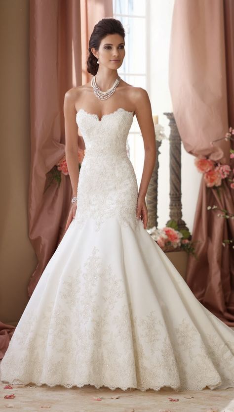 David Tutera for Mon Cheri Spring 2014 Bridal Collection - Belle The Magazine David Belle, David Tutera Wedding Dresses, Wedding Dresses Mermaid Bling, David Tutera Wedding, Gown Mermaid, Bridesmaid Dresses Strapless, David Tutera, Wedding Dresses 2014, Sophisticated Bride