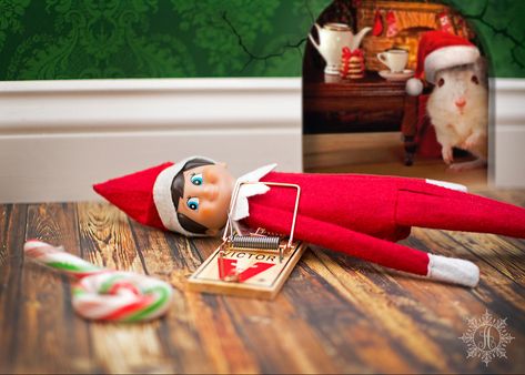 Santa loads his mouse traps, With scrumptious candy canes. For an elf at the pole, This doesn’t seem humane. Elf Trap, Craft Outlet, Awesome Elf On The Shelf Ideas, Amazon Christmas, Mouse Trap, Led Christmas Tree, Mouse Traps, Santa Suits, Elf Hat