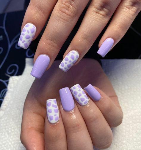 Color Cow Print Nails, Lavender Cow Print, Cow Print Nails, Lilac Nails, Purple Acrylic Nails, Cute Short Nails, Cow Nails, Lavender Nails, Summery Nails