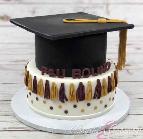 Fsu Graduation Cake Graduation Season is here. This is one I did for an FSU Graduate. Fsu Graduation Cakes, Fsu Cake Ideas, Fiu Graduation Party, Fsu Cake, Fsu Graduation, Grad Cakes, Graduation Party Planning, Cake Central, Cake Stuff