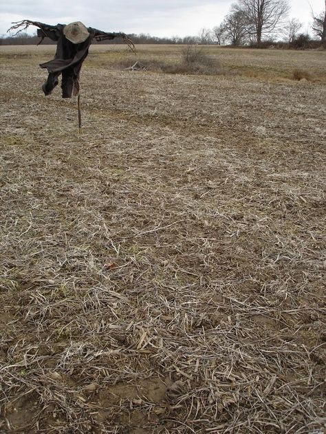 scarecrow in the field Midwestern Gothic, Midwest Gothic, Sophie Hatter, Idle Game, Jonathan Crane, Johnny Appleseed, American Gothic, Over The Garden Wall, Garden Aesthetic