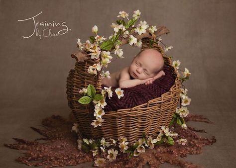 Newborn Background, Baby Backdrop, Foto Newborn, Newborn Photography Poses, Newborn Baby Photoshoot, Infant Photography Props, Baby Baskets, Baby Poses, Newborn Poses