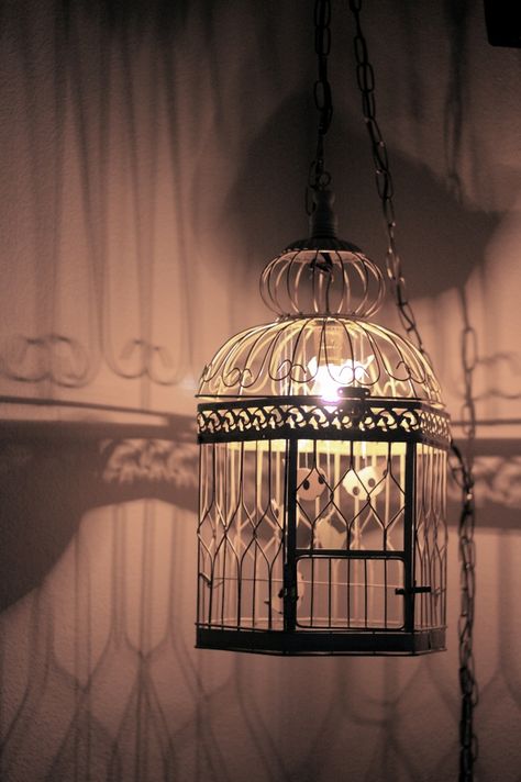 How awesome is this DIY hanging lighted bird cage? I've got one lying around... next place we move I'll do this! Homemade Lights, Birdcage Light, Diy Hanging Light, Birdcage Lamp, Birdcage Chandelier, Upcycled Lighting, Country Lighting, Romantic Bedroom Decor, Diy Lampe