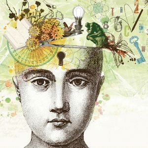 El Mundo de Sofía La Bruja: Filosofía y Ciencia Phrenology Head, Psych Major, Antonio Mora Artwork, Philosophy, Male Sketch, Wonder, Zelda Characters, Book Cover, Fictional Characters