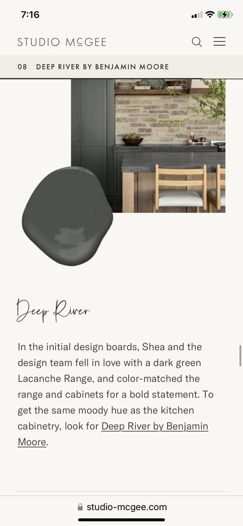 Northwoods Behr Paint, Secluded Woods Behr Paint, Secluded Woods Behr, Moody Kitchen Color Palettes, Behr Paint Bedroom, Kitchen Color Palettes, Moody Kitchen, Paint Bedroom, Behr Paint