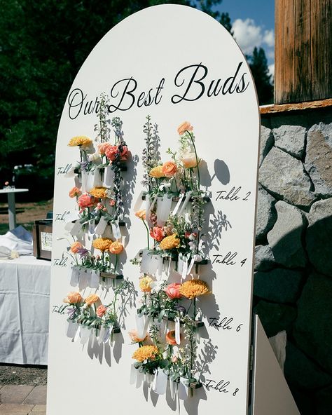 this seating chart lives rent free in my head 😍 photo by @katherinekrakowski & florals by @sweetstemsandco_ Floral Seating Chart, Buffalo Ny Wedding, Head Photo, Floral Arch Wedding, Wedding Aesthetic, Floral Arch, Ny Wedding, Seating Chart Wedding, Buffalo Ny