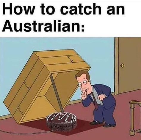 Australia Stereotypes, Australian Memes Funny, Aussie Meme, Australia Meme, Fun Expressions, Aussie Memes, Funny Aussie, Australian Memes, Meanwhile In Australia