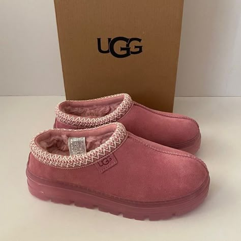 UGG Tasman Clear Clog Slippers Horizon Pink 7 Pink Ugg Clogs, Ugg Pink Tasman, Ugh Slippers Pink, Uhh Slippers, Light Pink Tasman Uggs, Pink Uggs Slippers, Ugg Tasman Clog, Ugg Outfits Black, Platform Tasman Uggs