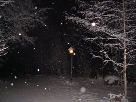 Snowy Night, Valentine Photography, Dark Winter, Melodrama, Winter Night, Winter Aesthetic, Cool Stuff, Narnia, Night In