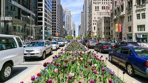 Michigan Avenue Chicago Shopping, Magnificent Mile Chicago, Skydeck Chicago, Michigan Avenue Chicago, Chicago Magnificent Mile, Chicago Vacation, Things To Do In Chicago, Magnificent Mile, Visit Chicago