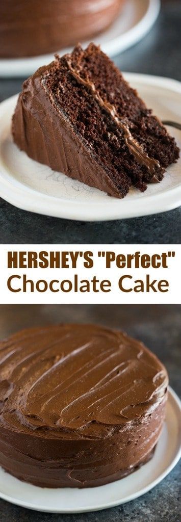 Chocolate Chocolate Cake, Hershey Chocolate Cakes, Chocolate Desserts Cake, Perfect Chocolate Cake, Coconut Dessert, Homemade Chocolate Cake, Brownie Desserts, Lunch Recipe, Cake Easy