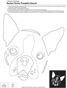 22 Downloadable Dog Breed Pumpkin Stencils Frenchie Pumpkin Carving, Boston Terrier Pumpkin, Bulldog Pumpkin, Pumpkin Templates, Dog Stencil, Boston Terrier Art, Boston Terrier Funny, Pumpkin Stencils, Pumpkin Carvings Stencils