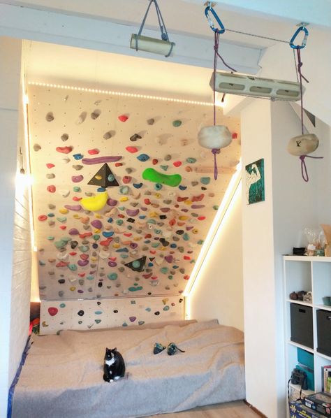 Home Climbing Wall, Indoor Climbing Wall, Gear Room, Bouldering Wall, Spavaća Soba, Happy One Year Anniversary, Apartment Life, Climbing Wall, One Year Anniversary