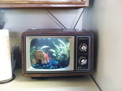 Cute little table top version of the fish tank tv aquarium / tank! - @jantzie Tv Aquarium, Goldfish Tank, Cool Fish Tanks, Aquarium Tank, Cool Fish, Tanked Aquariums, Vintage Tv, Retro Tv, Vintage Fishing