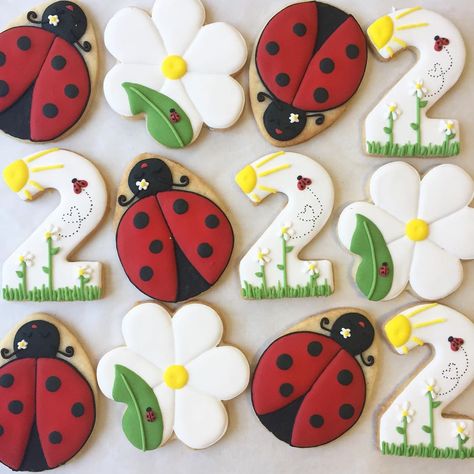 Ladybug Cookies Royal Icing, Ladybug Sugar Cookies, Cookies For Birthday, Ladybug Cookies, 2nd Birthday Party For Girl, Ladybug Birthday Party, Minion Birthday Party, Ladybug Birthday, Ladybug Party