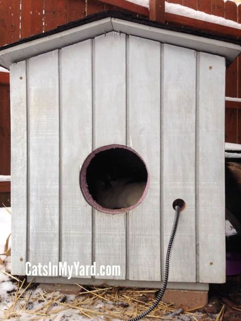 30 Best DIY Outdoor Cat House Plans / Outdoor Cat Shelter Outdoorcathouse Diy, Outdoor Cat House Plans, Bat Kitty, Diy Outdoor Cat House, Cat House Ideas, Cat Shelters For Winter, Heated Outdoor Cat House, Insulated Cat House, Cat Shelters