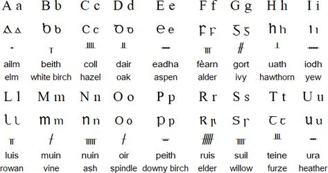 Scottish Gaelic language, alphabet and pronunciation Gaelic Alphabet, Celtic Language, Gaelic Tattoo, Teaching Websites, Gaelic Language, Derry Girls, Scotland History, Irish Language, Scottish Culture